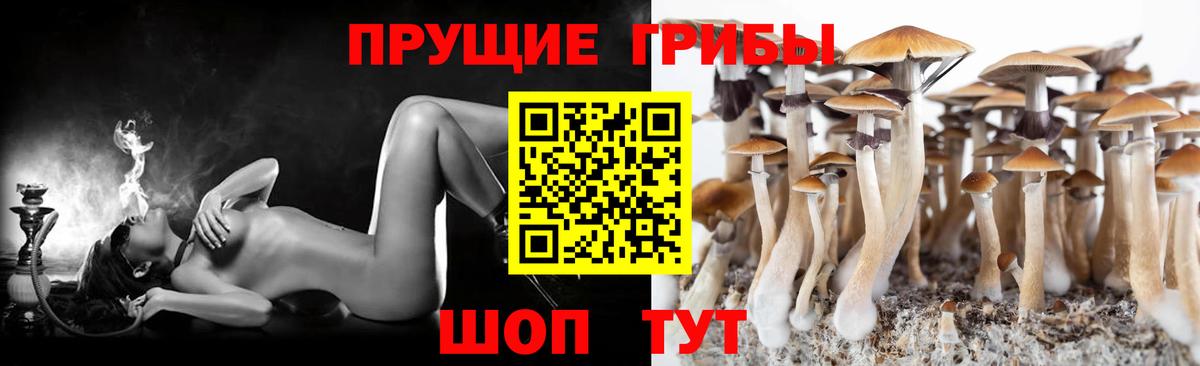 A-PVP Отрадное